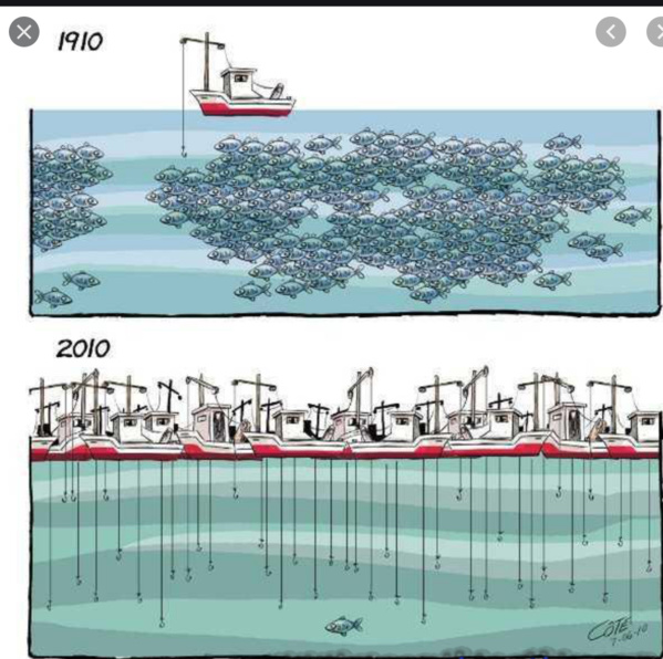 Le ministre des Pêches s'entretient avec l'ambassadeur chef de délégation de l’UE