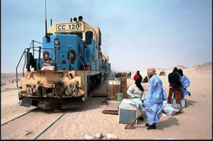 Tiris-Zemmour: La fondation de la SNIM distribue des équipements et fournitures scolaires aux écoliers de la wilaya Tiris-Zemmour: La fondation de la SNIM distribue des équipements et fournitures scolaires aux écoliers de la wilaya