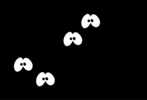 Aleg: plus d’eau ni d’électricité Aleg: plus d’eau ni d’électricité