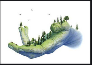 La Mauritanie va s’appuyer sur la production de l’électricité sur les énergies propres et renouvelables (ministère du pétrole) La Mauritanie va s’appuyer sur la production de l’électricité sur les énergies propres et renouvelables (ministère du pétrole)