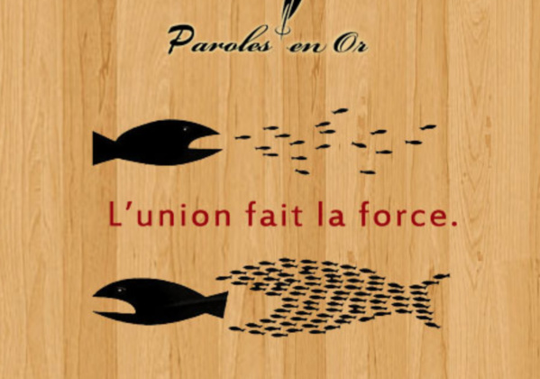 L'association des diplomates professionnels élit un nouveau bureau exécutif L'association des diplomates professionnels élit un nouveau bureau exécutif