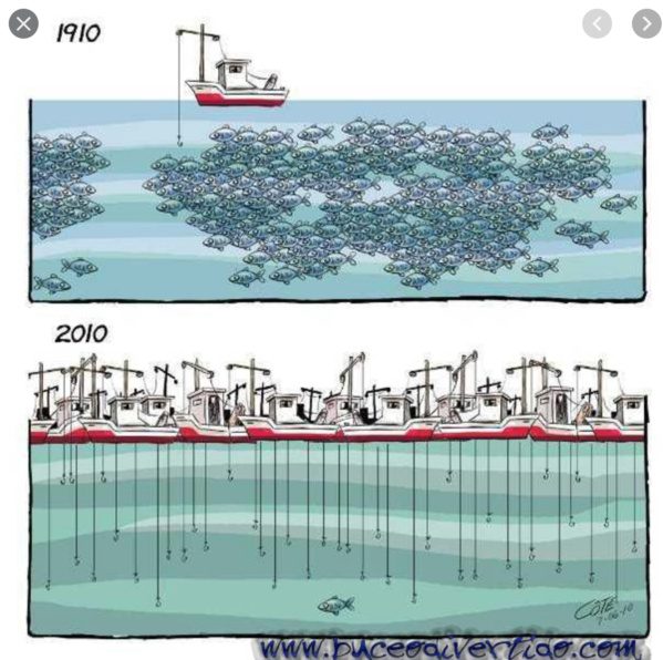 La contrepartie économique fait échouer l’accord de pêche entre l’UE et la Mauritanie