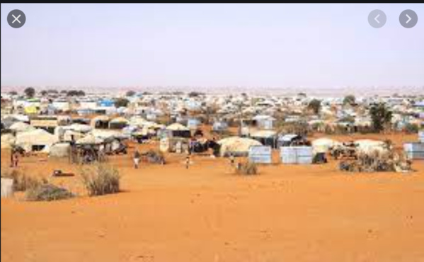 Bassiknou et les réfugiés de Mberra au cœur d’une réflexion sur les moyens d’existence, la paix et la résilience au Hodh Charghi Bassiknou et les réfugiés de Mberra au cœur d’une réflexion sur les moyens d’existence, la paix et la résilience au Hodh Charghi