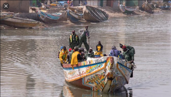Pêche : Les mareyeurs et transformatrices s'insurgent contre l'arrêté interdisant l'introduction du poisson venant de Mauritanie.