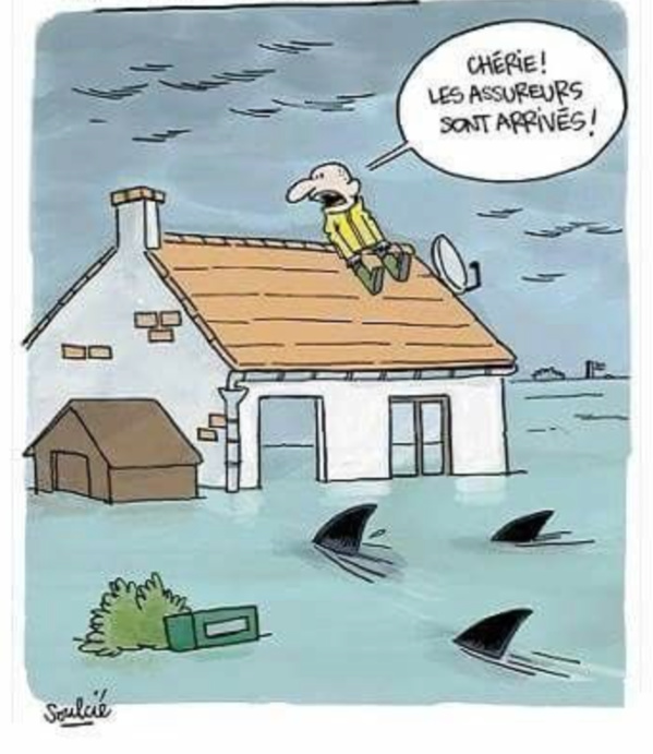 SNDE: "La présence de marais à Nouakchott ne résulte pas d’un dysfonctionnement du réseau de distribution d'eau" SNDE: "La présence de marais à Nouakchott ne résulte pas d’un dysfonctionnement du réseau de distribution d'eau"