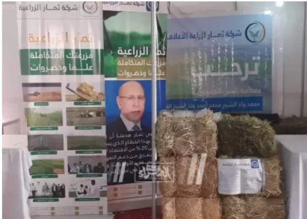 Timbedra : La foire de l’élevage fin prête pour l'accueil du président (Photos) Timbedra : La foire de l’élevage fin prête pour l'accueil du président (Photos)