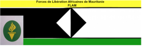 Mauritanie: La solution ultime est en marche Par Flam Mauritanie: La solution ultime est en marche Par Flam