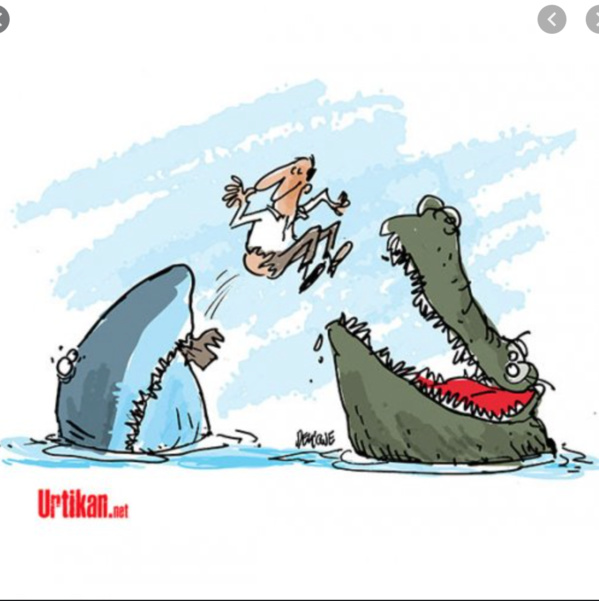 La Mauritanie impose des restrictions aux carottes et tomates importés du Maroc La Mauritanie impose des restrictions aux carottes et tomates importés du Maroc