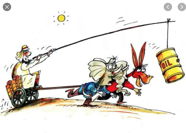 Projet gazier GTA Mauritanie: McDermott va (enfin) débuter ses activités Projet gazier GTA Mauritanie: McDermott va (enfin) débuter ses activités