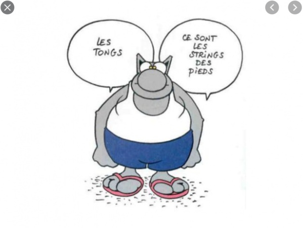 Des membres du gouvernement commentent les résultats du Conseil des ministres Des membres du gouvernement commentent les résultats du Conseil des ministres