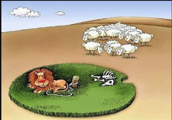 Vidéo : Mauritanie 20% des programmes médias audiovisuels consacrés aux langues nationales Vidéo : Mauritanie 20% des programmes médias audiovisuels consacrés aux langues nationales