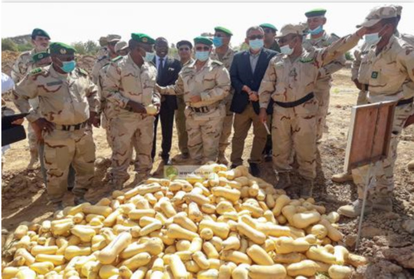 Le chef d’état-major général des armées visite le centre technique de l’armée nationale et la ferme pilote de l’armée près de Rosso Le chef d’état-major général des armées visite le centre technique de l’armée nationale et la ferme pilote de l’armée près de Rosso