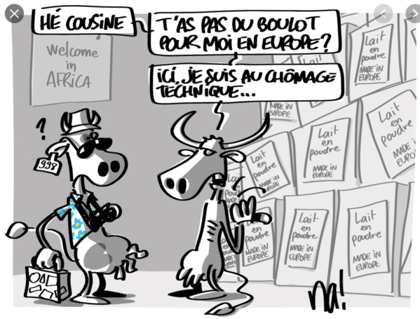 Création d'un fonds pour la Promotion du Développement de l’Élevage