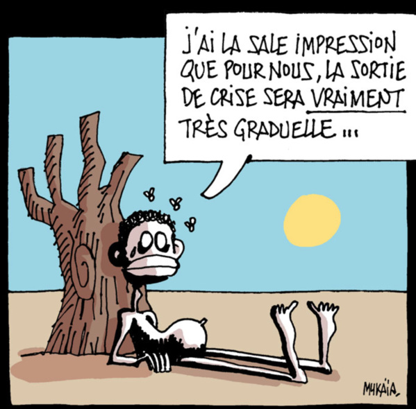 Le MDR répond à la question "la Mauritanie peut-elle relever le défi de l'autosuffisance alimentaire?"