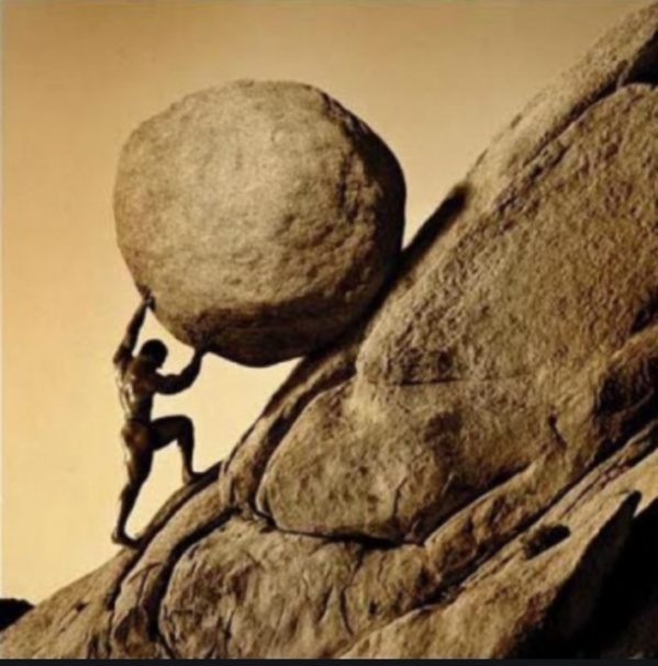 Quand la Carte Grise devient un chemin de croix Quand la Carte Grise devient un chemin de croix