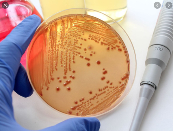 Le ministre de la Santé s’enquiert du déroulement des travaux de construction de l’INRSP Le ministre de la Santé s’enquiert du déroulement des travaux de construction de l’INRSP