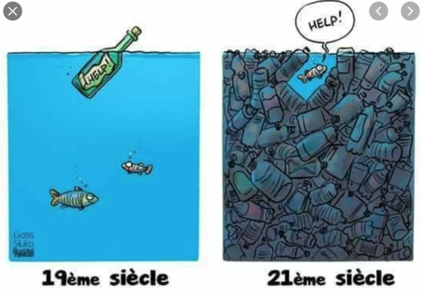 Le phénomène de la présence sur les plages mauritaniennes de poissons morts inquiète les populations Le phénomène de la présence sur les plages mauritaniennes de poissons morts inquiète les populations