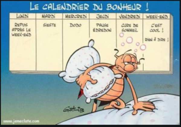 La semaine La semaine