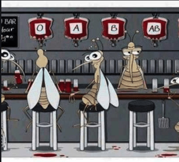 La Région de Nouakchott lance une campagne de lutte contre les moustiques La Région de Nouakchott lance une campagne de lutte contre les moustiques