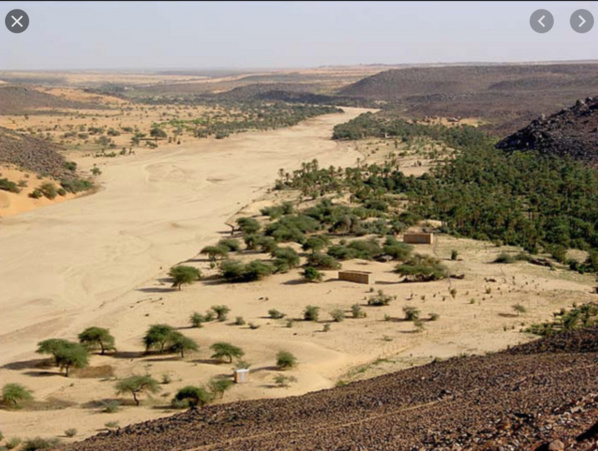 Eau, pierres et tête de scorpion... Prélude à l'abandon de la ville de Tidjikja.. Eau, pierres et tête de scorpion... Prélude à l'abandon de la ville de Tidjikja..