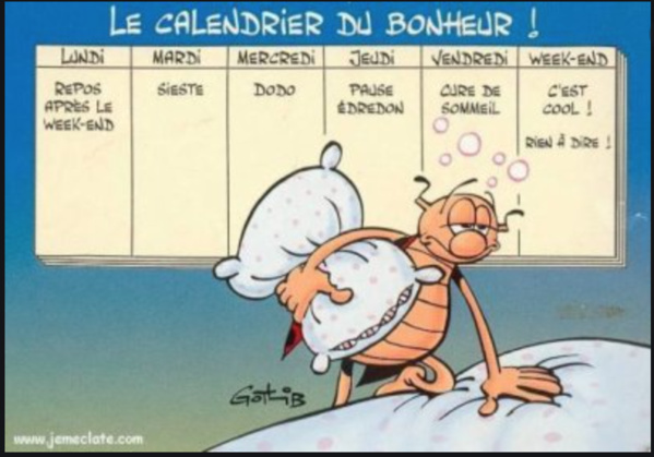 La semaine La semaine