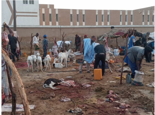 Jour de fête: Ambiance au marché de bétail Jour de fête: Ambiance au marché de bétail