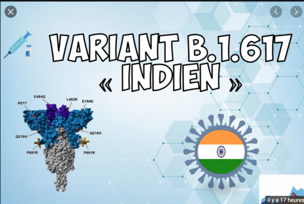 Coronavirus: Pas de variant indien en Mauritanie (Ministère Santé) Coronavirus: Pas de variant indien en Mauritanie (Ministère Santé)