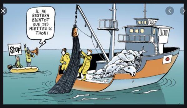 Mauritanie/Nouadhibou : Les pêcheurs artisanaux manifestent après leur interdiction de s’adonner à leurs activités a Nouadhibou Mauritanie/Nouadhibou : Les pêcheurs artisanaux manifestent après leur interdiction de s’adonner à leurs activités a Nouadhibou