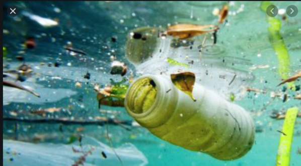 Scandale des déchets maritimes : chassé du Sénégal, le navire de Hapag Lloyd accoste en Mauritanie Scandale des déchets maritimes : chassé du Sénégal, le navire de Hapag Lloyd accoste en Mauritanie