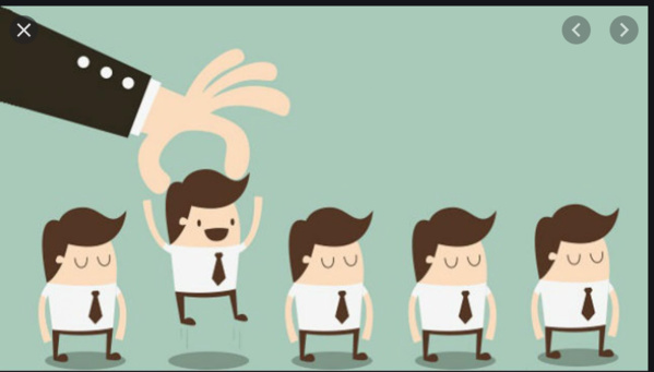 Nouveaux Commissaires à la Sécurité Alimentaire et aux Droits de l'Homme Nouveaux Commissaires à la Sécurité Alimentaire et aux Droits de l'Homme