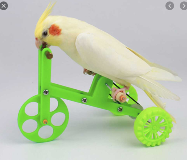 Le porte-parole du gouvernement commente les résultats du conseil des ministres Nouakchott, 27/05/2021 Le porte-parole du gouvernement commente les résultats du conseil des ministres Nouakchott, 27/05/2021