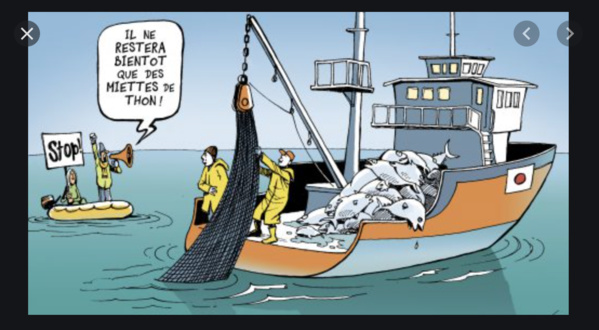 Pêche: Nouvelles mesures relatives aux conditions d’exploitation des petits pélagiques Pêche: Nouvelles mesures relatives aux conditions d’exploitation des petits pélagiques