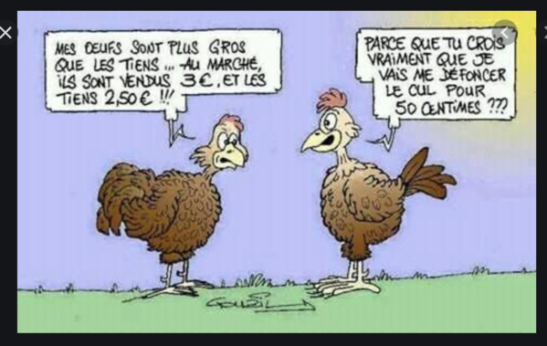 Mauritanie : mise en place prochaine de mesures destinées à parvenir à une autosuffisance en œufs Mauritanie : mise en place prochaine de mesures destinées à parvenir à une autosuffisance en œufs