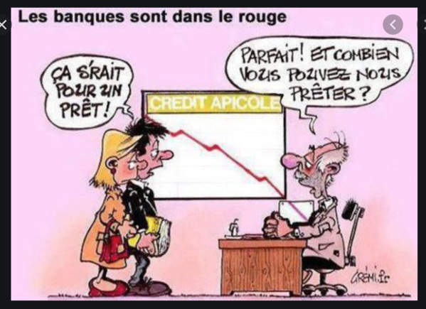 Mauritanie : Mohamed Ahmed Salem Moktar prend les rênes de la Fédération des institutions financières Mauritanie : Mohamed Ahmed Salem Moktar prend les rênes de la Fédération des institutions financières