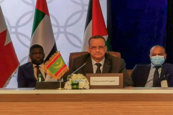 Le ministre des Affaires étrangères participe à une consultation des ministres arabes des Affaires étrangères