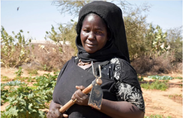 Réfugiés et Mauritaniens partagent leurs stratégies d’adaptation au changement climatique