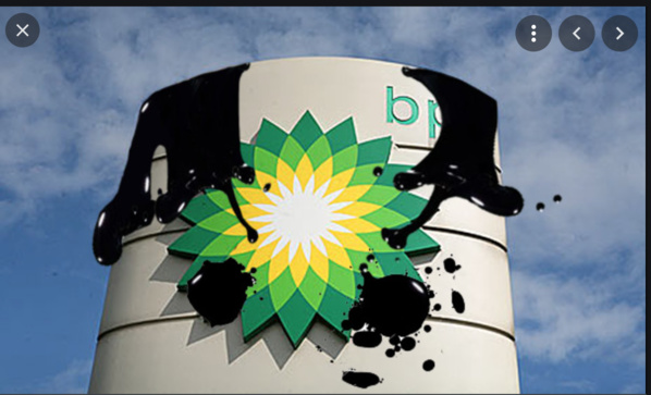 BP réfute les dires indexant son plan pour GTA de danger à la biodiversité