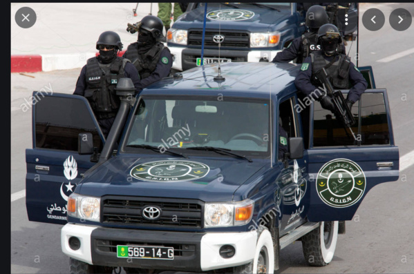 Le gouvernement étudie les dispositions pratiques pour lutter contre la criminalité Le gouvernement étudie les dispositions pratiques pour lutter contre la criminalité