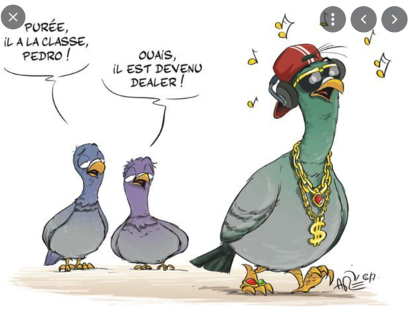 Le Procureur de la République de Nouakchott Ouest annonce la saisie de plus de 1100 kg de cannabis Le Procureur de la République de Nouakchott Ouest annonce la saisie de plus de 1100 kg de cannabis