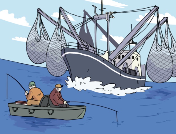 Le ministre des pêches : « les politiques et les plans élaborés pour le secteur n’ont pas été exécutés »
