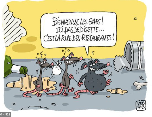 La Mauritanie à la recherche d’un partenaire pour le projet gazier du champ « BANDA » La Mauritanie à la recherche d’un partenaire pour le projet gazier du champ « BANDA »