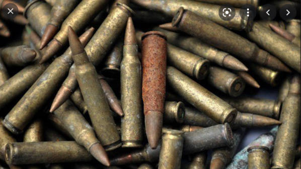 Création d’un comité provisoire pour la gestion des championnats pour le tir à la cible traditionnelle Création d’un comité provisoire pour la gestion des championnats pour le tir à la cible traditionnelle