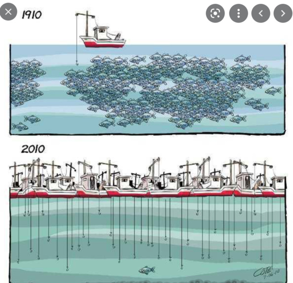 Visioconférence sur la transparence dans le secteur des pêches en Mauritanie Visioconférence sur la transparence dans le secteur des pêches en Mauritanie