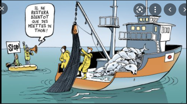 Nouvel accord de pêche entre l’Union européenne et la Mauritanie