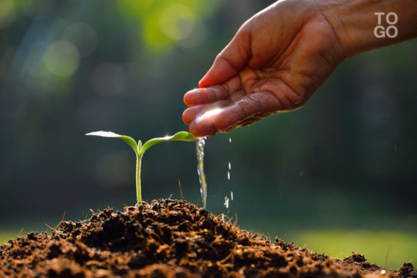 Nouakchott: Reboisement de la trajectoire conduisant de l’aéroport international Oumtounsy Nouakchott: Reboisement de la trajectoire conduisant de l’aéroport international Oumtounsy