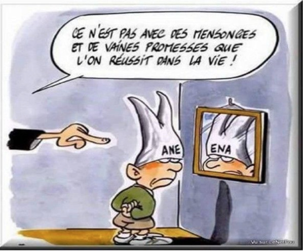 83 % de taux d’échec au baccalauréat 2021 83 % de taux d’échec au baccalauréat 2021