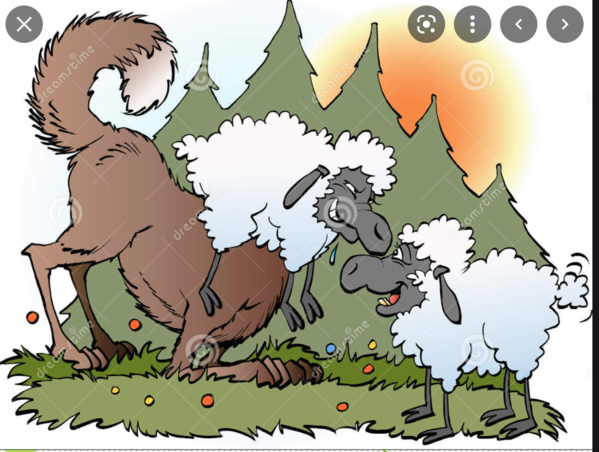 Le patronat décide l’ouverture de 300 boutiques à Nouakchott pour la vente des produits de première nécessité à des prix subventionnés Le patronat décide l’ouverture de 300 boutiques à Nouakchott pour la vente des produits de première nécessité à des prix subventionnés