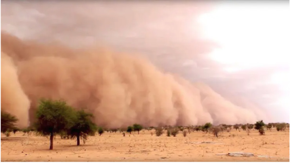 Mauritanie : plus de 20 habitations endommagées par la pluie et le vent dans le département de R’Kiz