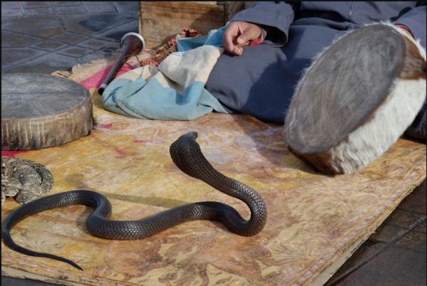 Le Parquet général rend public un communiqué relatif au dossier de corruption n° 001-2021 Le Parquet général rend public un communiqué relatif au dossier de corruption n° 001-2021