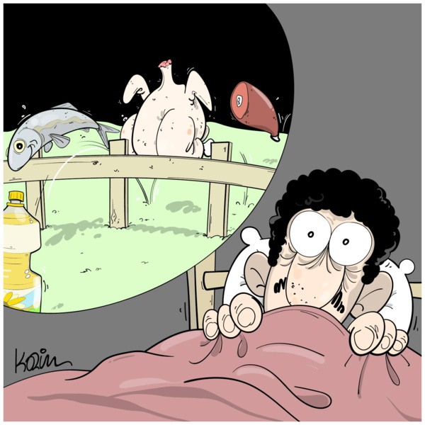 Mauritanie : voilà pourquoi la viande est chère Mauritanie : voilà pourquoi la viande est chère